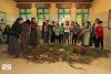 Continuar...